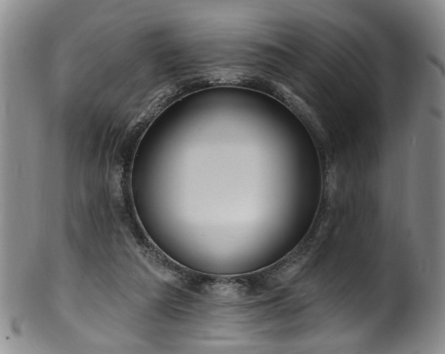 X0000100360209200806061146