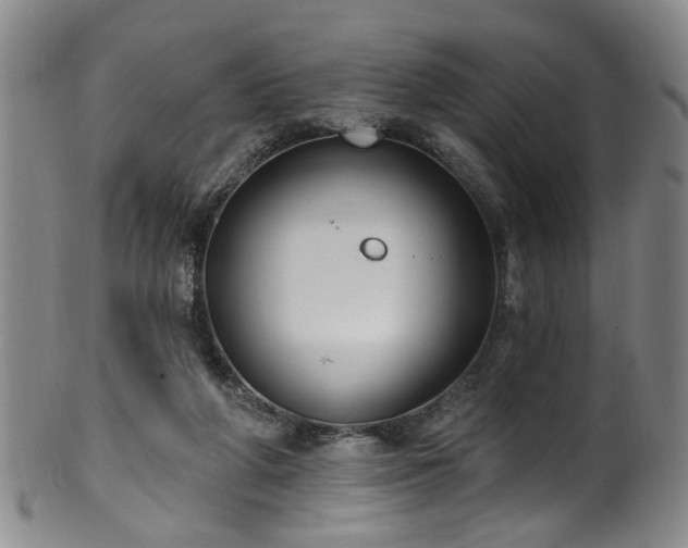 X0000100360210200806061146