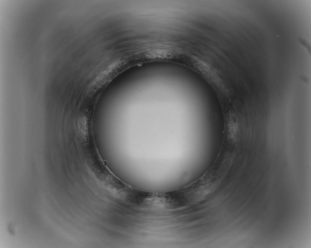 X0000100360211200806061146