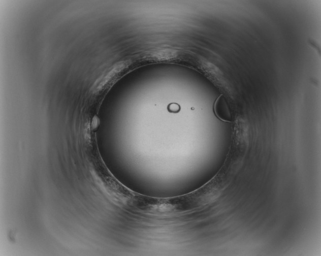 X0000100360212200806061146