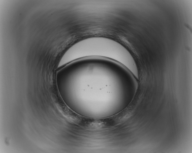 X0000100360213200806061146