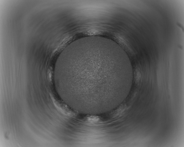 X0000100360214200806061146