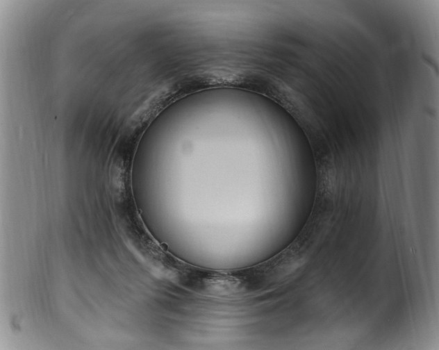 X0000100360215200806061146