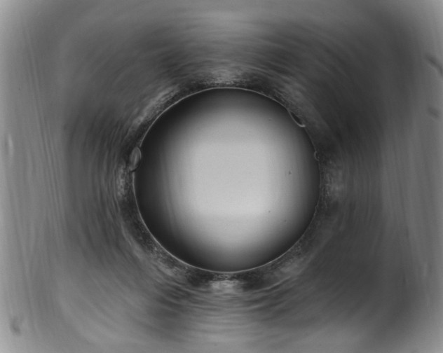 X0000100360216200806061146