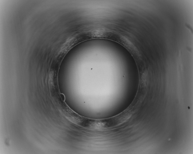 X0000100360217200806061146