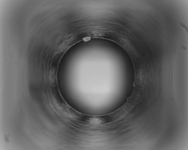 X0000100360218200806061146