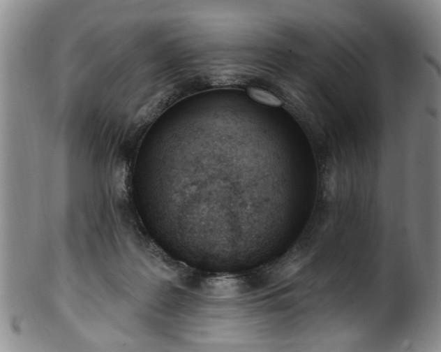 X0000100360219200806061146