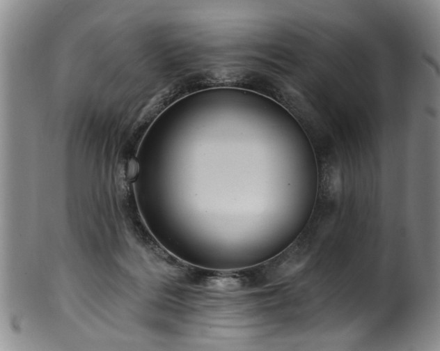 X0000100360220200806061146