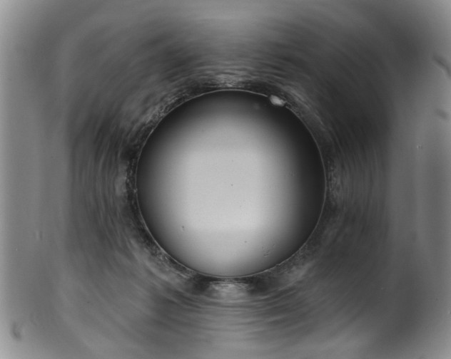 X0000100360221200806061146