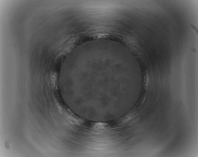 X0000100360222200806061146