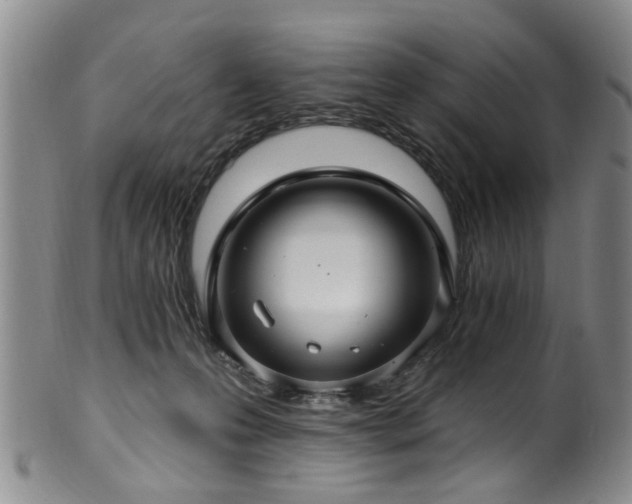 X0000100360223200806061146