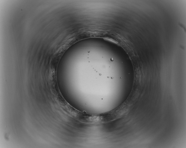 X0000100360225200806061146