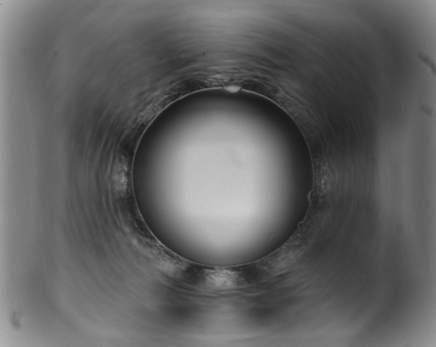 X0000100360226200806061146