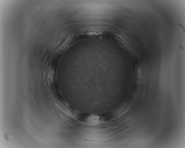 X0000100360227200806061146