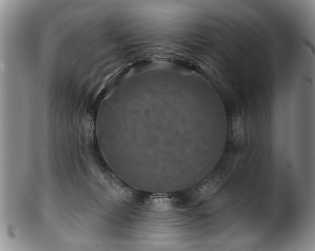 X0000100360228200806061146