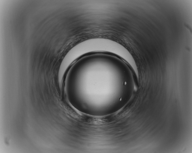 X0000100360229200806061146