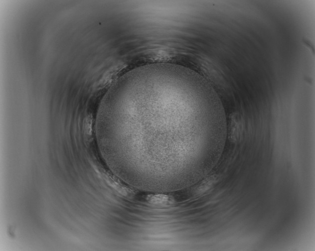 X0000100360230200806061146