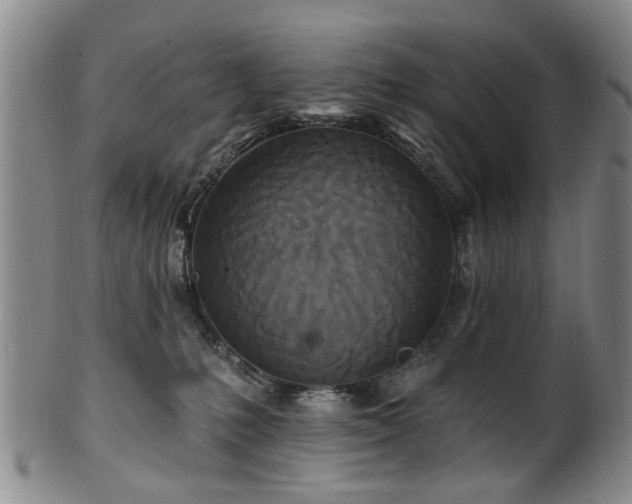 X0000100360231200806061146