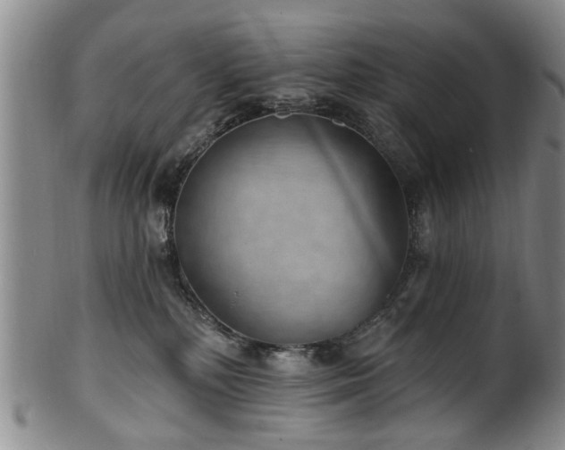 X0000100360232200806061146