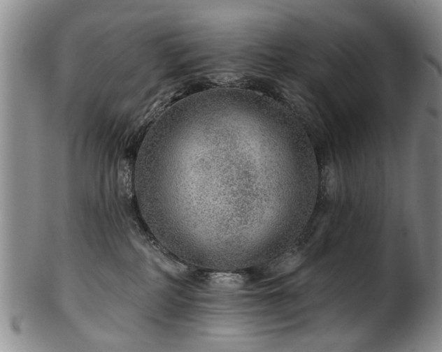 X0000100360234200806061146