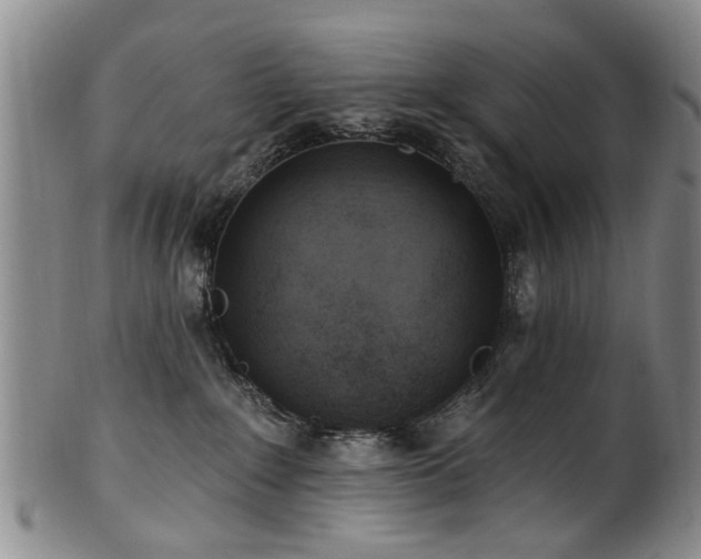 X0000100360235200806061146