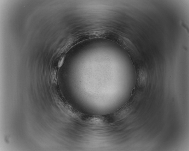 X0000100360236200806061146