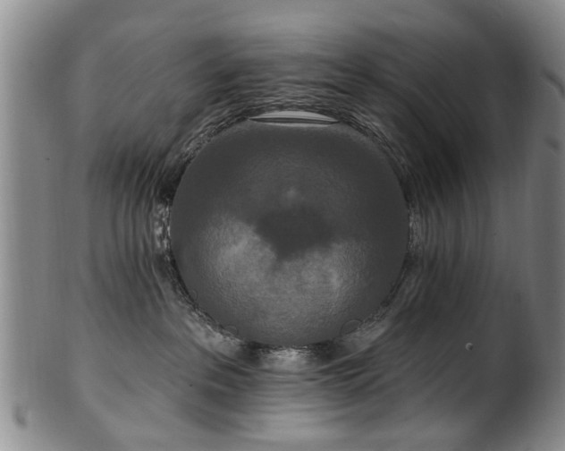 X0000100360237200806061146