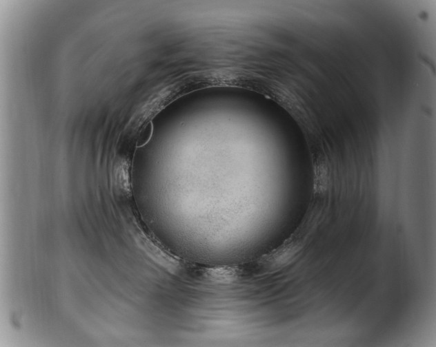 X0000100360238200806061146