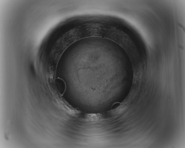 X0000100360239200806061146