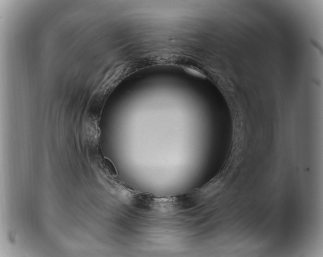 X0000100360240200806061146