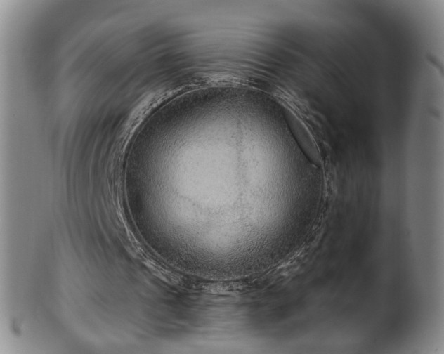 X0000100360241200806061145