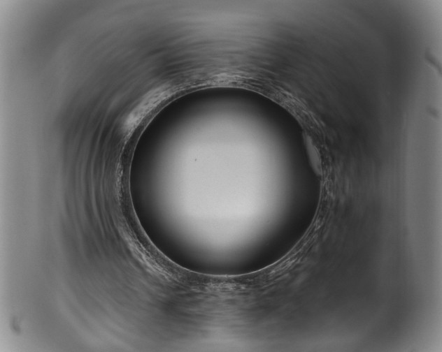 X0000100360242200806061145