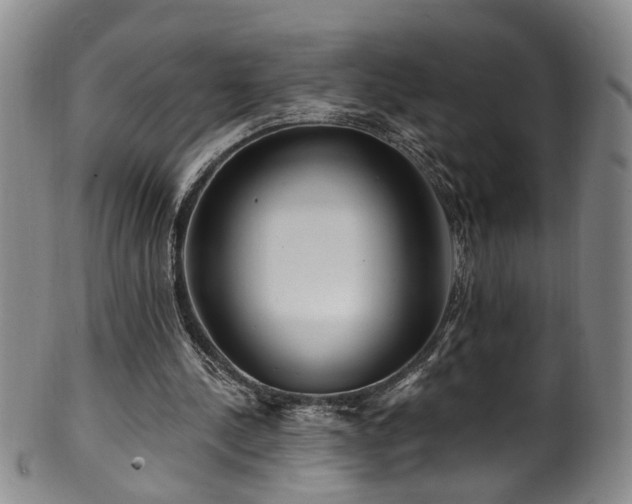 X0000100360244200806061145