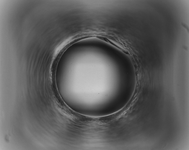 X0000100360246200806061145