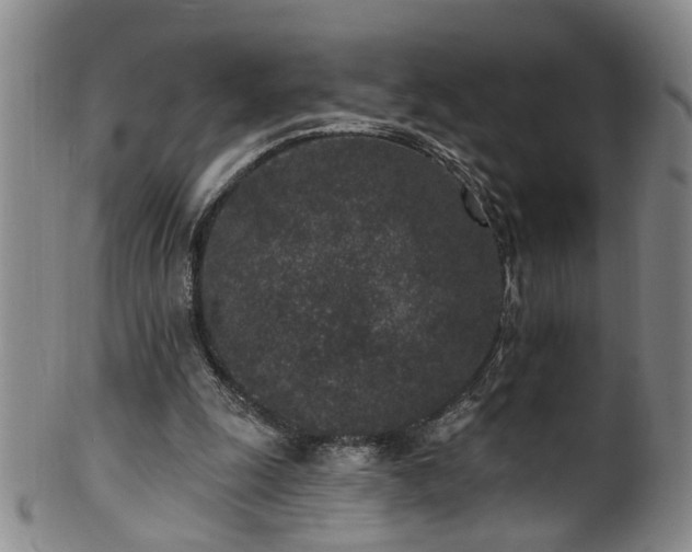 X0000100360247200806061145