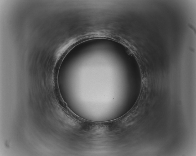 X0000100360248200806061145