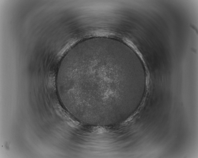 X0000100360249200806061145