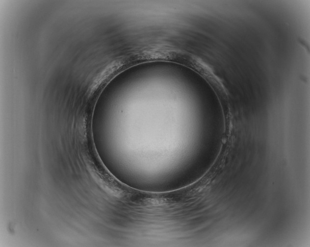 X0000100360250200806061145