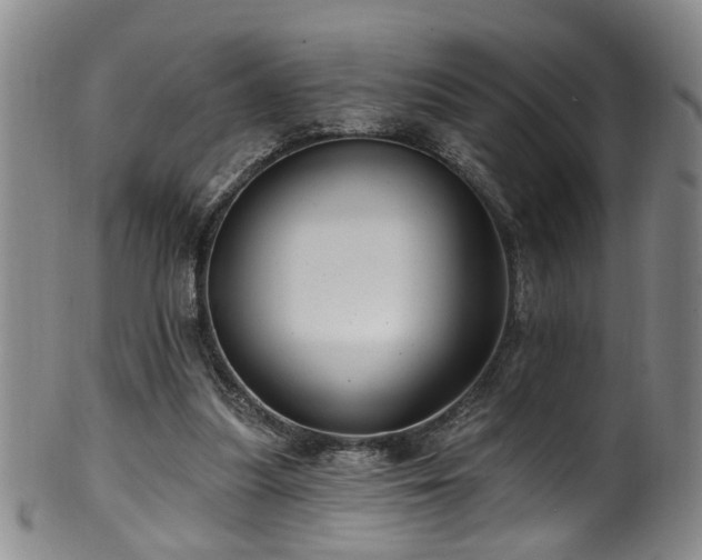 X0000100360251200806061145