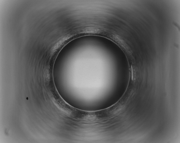 X0000100360252200806061145