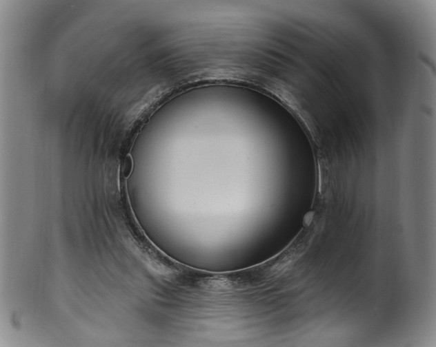 X0000100360253200806061145