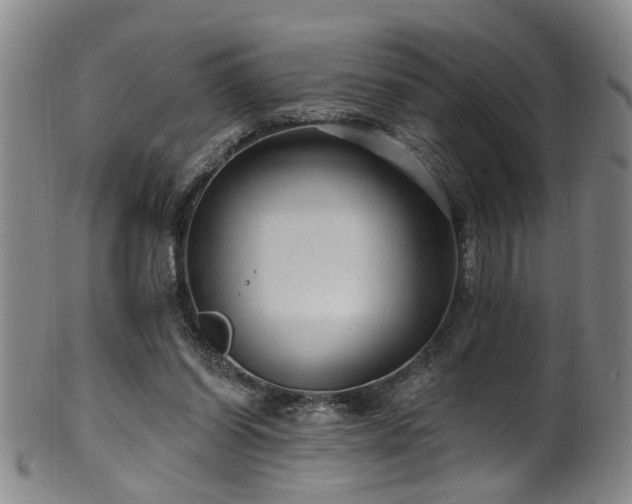 X0000100360254200806061145