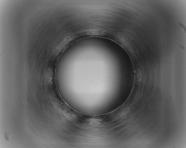 X0000100360255200806061145