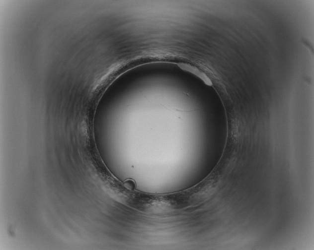 X0000100360256200806061145