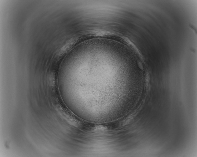 X0000100360257200806061145