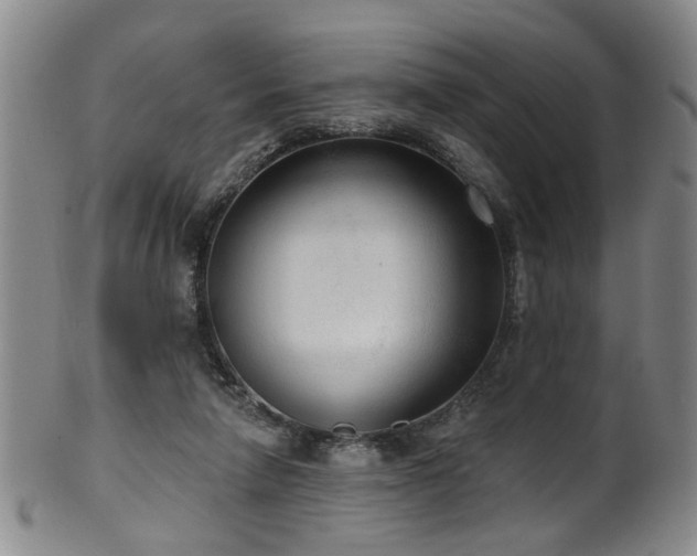 X0000100360258200806061145