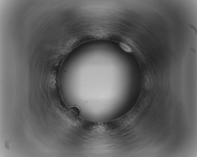 X0000100360259200806061145