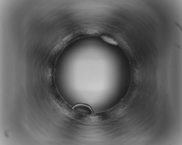 X0000100360260200806061145