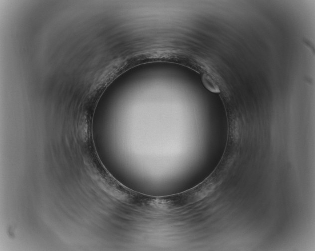 X0000100360261200806061145