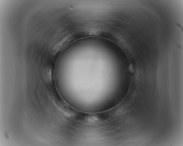 X0000100360262200806061145